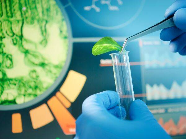 Postęp w biotechnologii i jego konsekwencje dla sektora zdrowia oraz gospodarki