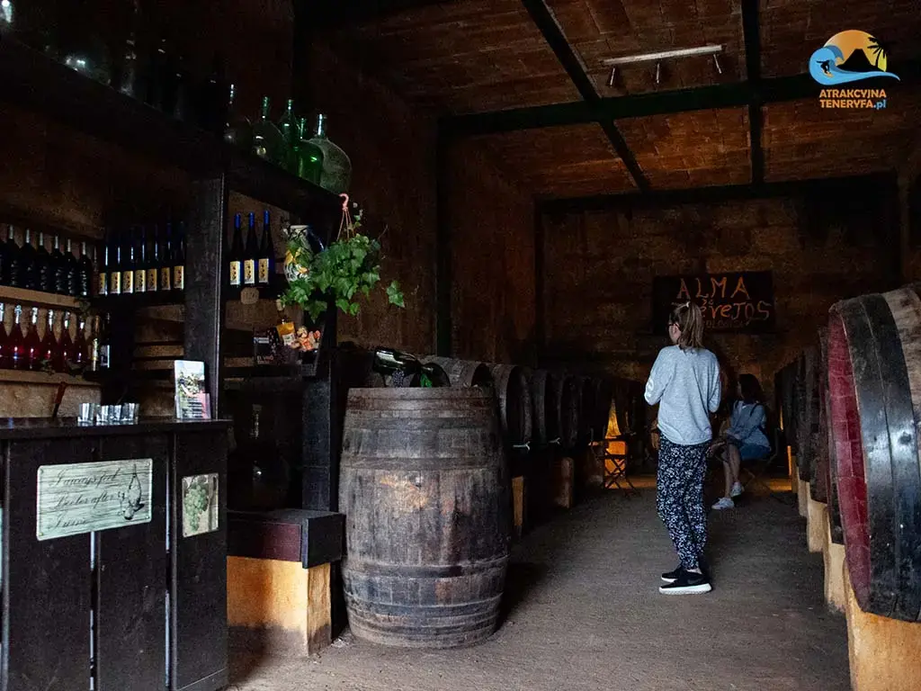 Wino i winnice na Teneryfie: Przewodnik po najlepszych degustacjach